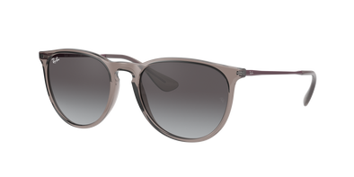 Ray-Ban - RB4171 Erika Color Mix