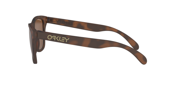 Oakley - OO9013 Frogskins™