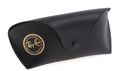 Ray-Ban Etui Schwarz XLarge